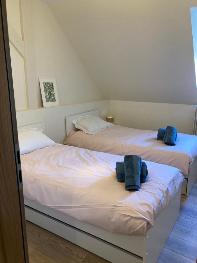コルマールLes Moulins Tres Agreable Et Idealement Situeアパートメント エクステリア 写真